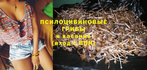 герыч Каменка