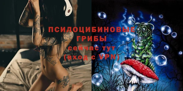 прущая мука Пенза