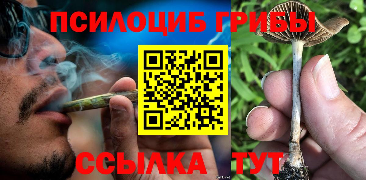 Ивантеевка  Псилоцибиновые грибы Psilocybe  Вход с VPN 