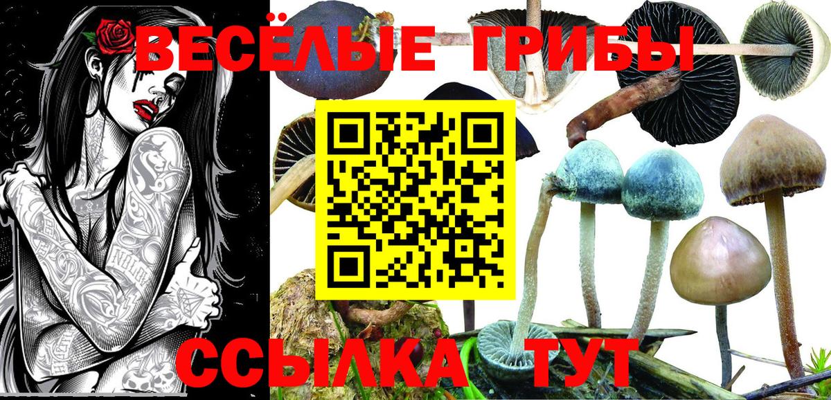 Псилоцибиновые грибы Magic Shrooms Ивантеевка