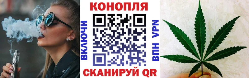 Каннабис гибрид  Ивантеевка 